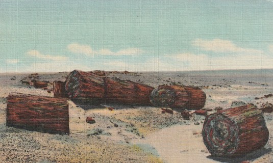 Vintage Used Postcard:d: Linen: Drift Logs in Second Forest, Petrified Forest, AZ