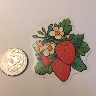 Strawberry sticker read description before bidding 