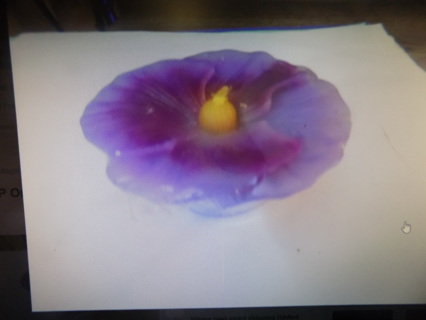 Purple Orchid shape candle new about 5 inch across