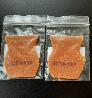 Scentsy Felt Wax Samples ~ Spooky But Sweet ⭐ September 2024 Scent Of The Month