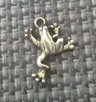 1 New silver tree frog Charm