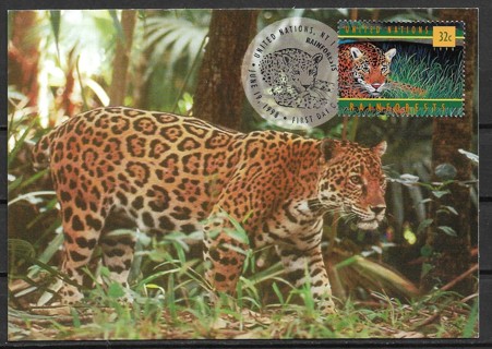 1998 United Nations NY Sc735 Rainforests maxi card