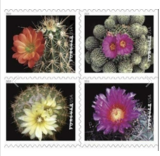 100 Cactus Flowers U.S. First Class Forever Postage Stamps 