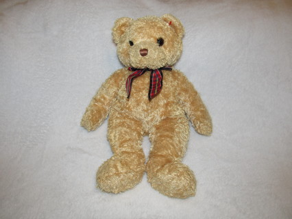 Ty Beanie Baby Buddy 'Woody' Brown Teddy Bear Plush Toy Buddies