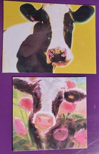 Cow magnets