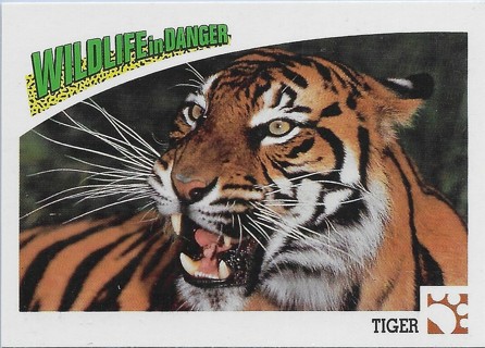  1992 Panini Wildlife in Danger #26 Tiger