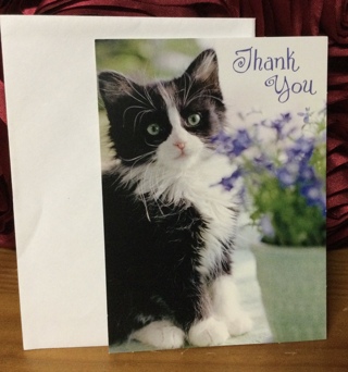 Black and White Kitten Blank Thank You Card