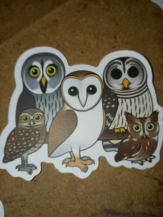 Owl Cool new vinyl sticker no refunds regular mail only Very nice