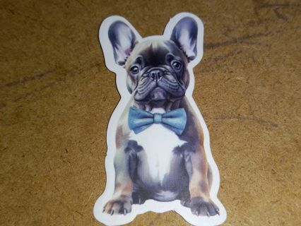 Dog Cute one new vinyl sticker no refunds regular mail only Very nice quality