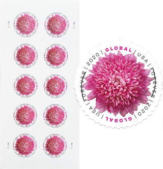 2020 USA Global Forever Rate stamps - Chrysanthemum -  5 pieces