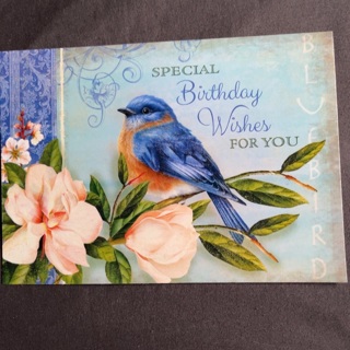 Special Birthday Wishes Card (A)