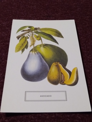 Botanical Postcard - AVOCADO