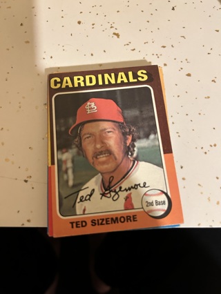 1975 topps ted sizemore