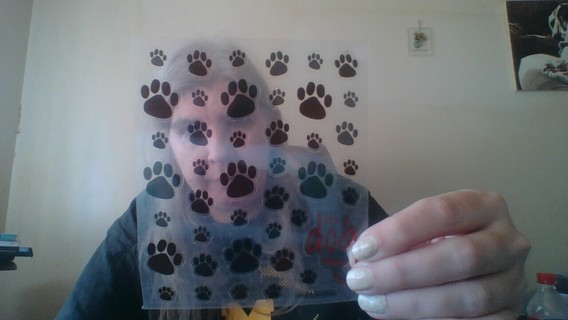 Dog Paw Prints Stickers