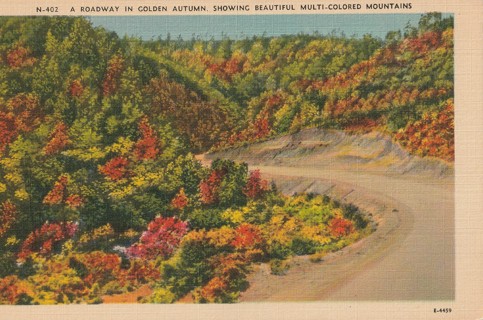 Vintage Unused Postcard: j: Golden Autumn Road