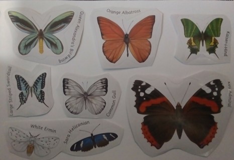 Moth and butterfly stickers with identification name.