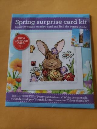 Cross stitch kit