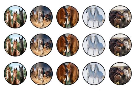 Horses Bottle Cap Images