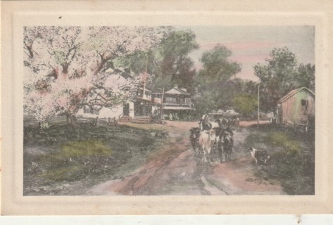 Vintage Used Postcard: (f): Pre Linen: Country Road Scene