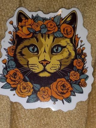 Cute one vinyl sticker no refunds regular mail Win 2 or more get bonus