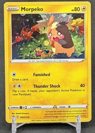 Pokémon Morpeko SWSH Black Star Holo SWSH116 Holo Promo NM