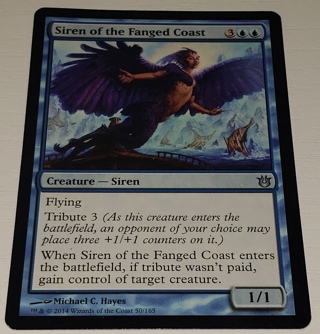 MTG ✨ Siren of the Fanged Coast - (U) 50/165 Born of the Gods (BNG) ✨ Magic the Gathering (2014)