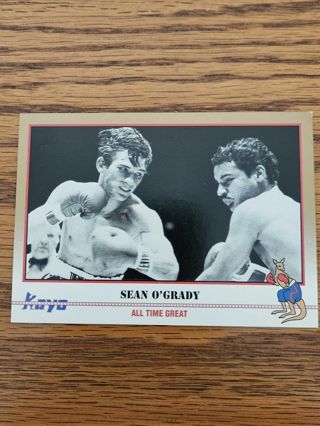 1991 Kayo boxing trading card.