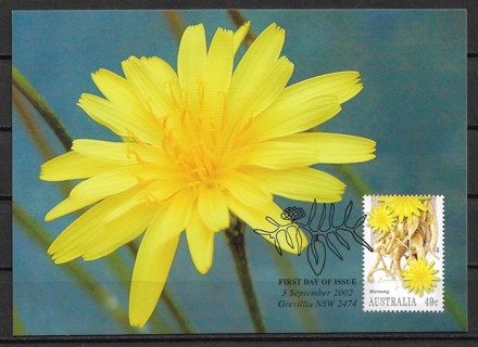 2002 Australia Sc2081 Aboriginal Food Plants: Murnong maxi card