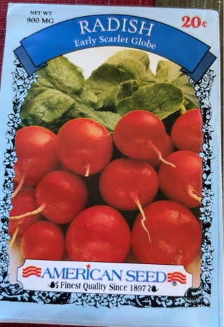 American Seed Radish Seeds