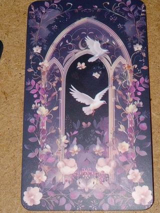 Beautiful Cool one nice vinyl sticker no refunds regular mail only Very nice quality!