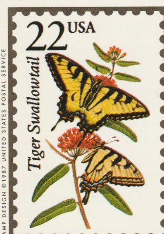 Vintage Wildlife America Collector/Trade Card: Tiger Swallowtail