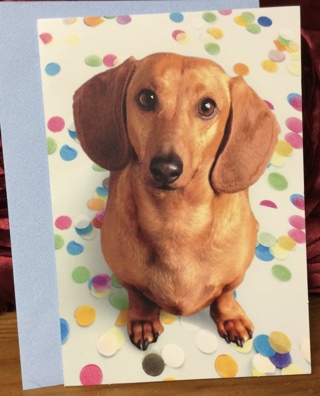 Wiener Dog Congratulations Card