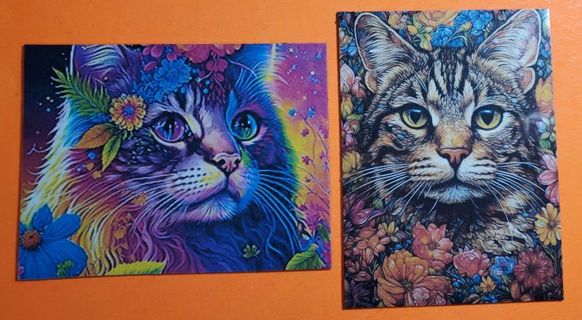 Cat magnets