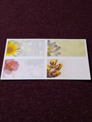 Floral Mini Cards