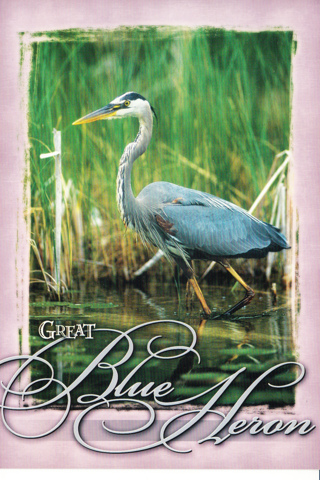 Vintage Postcard Blue Heron