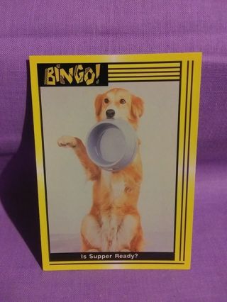 BingoTrading Card #1