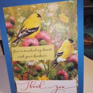 Thank You -Design Blank Note Card