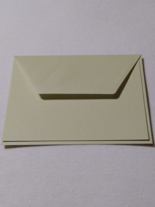 Light Green Flat Notecards & Envelopes