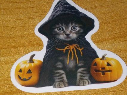 Cat 1⃣ Cute vinyl sticker no refunds regular mail only Very nice win 2 or more get bonus