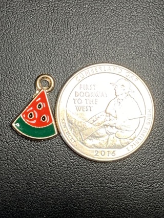 FRUIT CHARM~#21~WATERMELON SLICE~1 CHARM ONLY~FREE SHIPPING!
