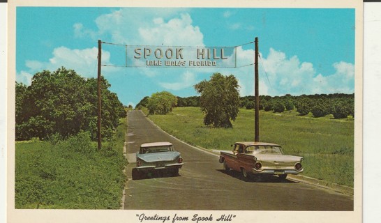 Vintage Unused Postcard: t: Spook Hill, Near Singing Tower, Lake Wales, FL