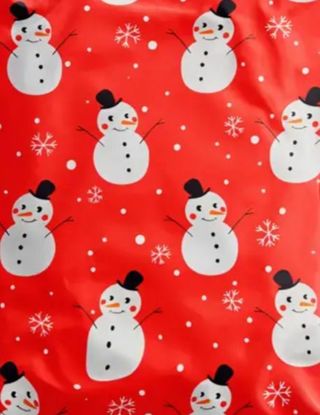 ↗️NEW⛄(1) BRIGHT CHRISTMAS SNOWMAN 10"x 13" POLY MAILER!!