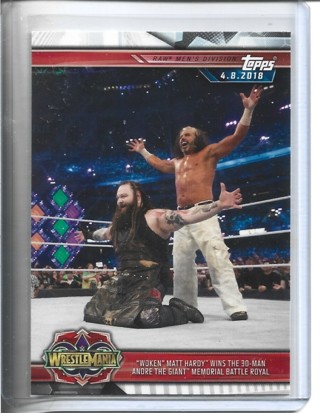 2019 Topps WWF/WWE Matt Hardy & Bray Wyatt  #34 