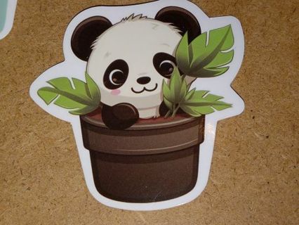 Cute one nice small vinyl sticker no refunds regular mail only Very nice quality!