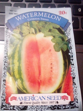 Watermelon - seeds