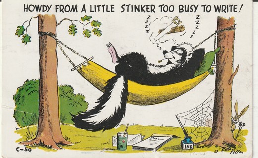 Vintage Used Postcard: (d): Howdy from a Little Stinker too Busy to Write