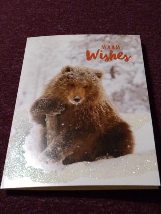 National Geographic Holiday Card - Brown Bear