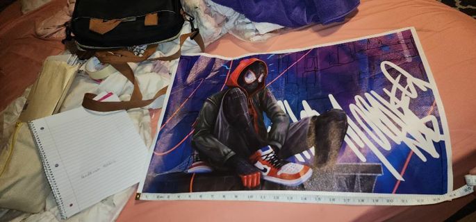 Spider man canvas