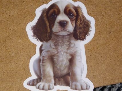 Dog Cute new nice big vinyl sticker no refunds regular mail win 2 or more get bonus