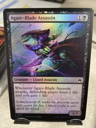 Agate-Blade Assassin *FOIL Common* Magic MtG x1 Bloomburrow